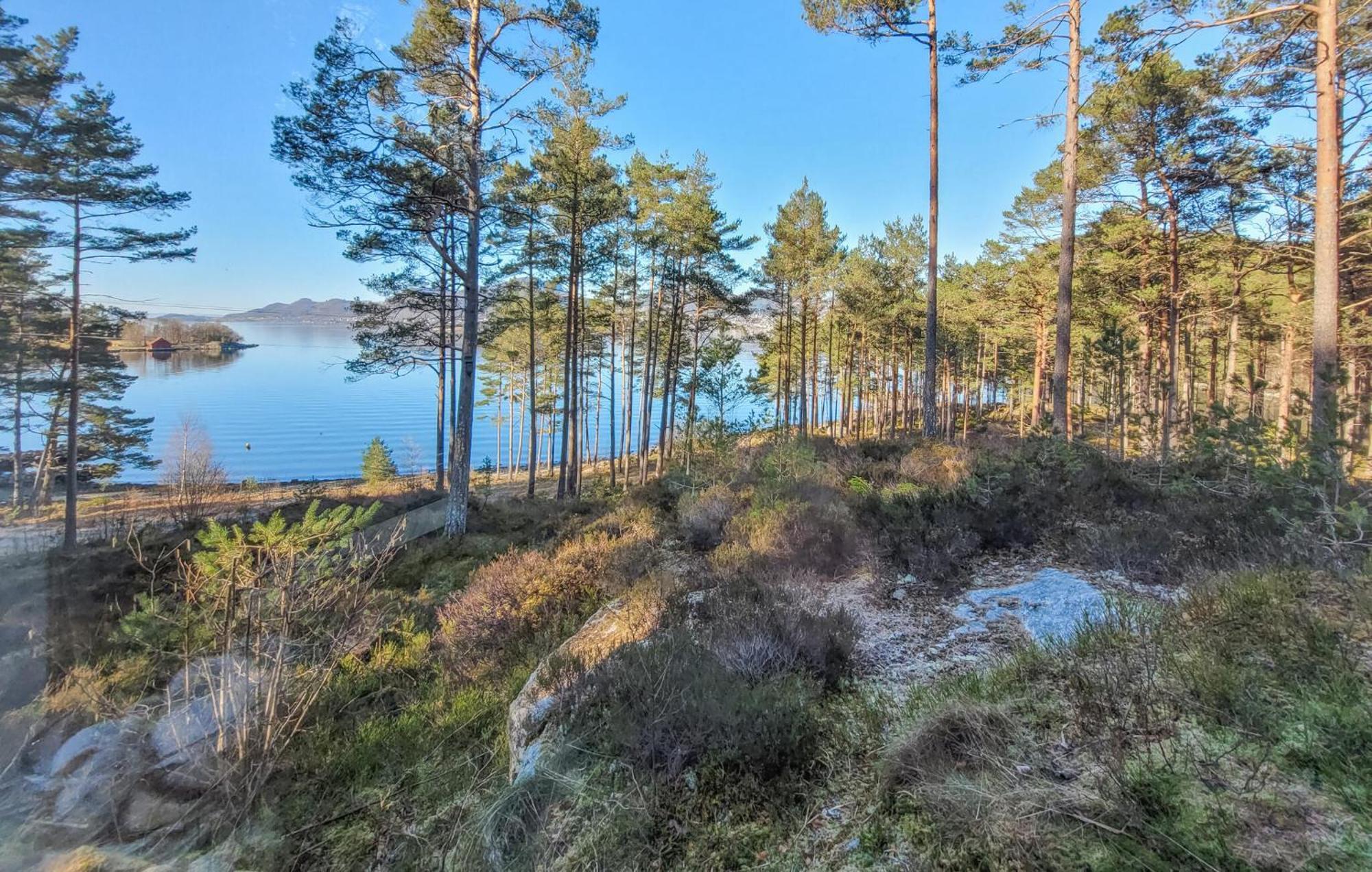 Gorgeous Home In Jorpeland With House Sea View Dış mekan fotoğraf